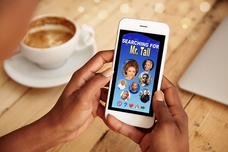 Searching for Mr. Tall poster